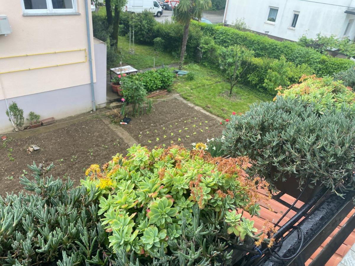 Apartma Magnolija Нова-Горица Экстерьер фото